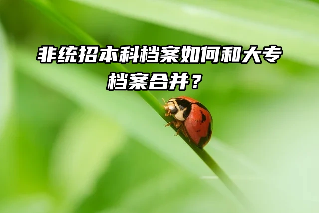 纯干货！非统招本科档案如何和大专档案合并？