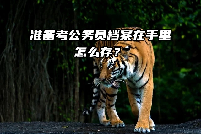 公务员备考必读：个人档案的正确存放指南