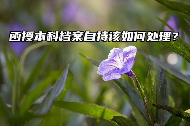 函授本科档案自持该如何处理？