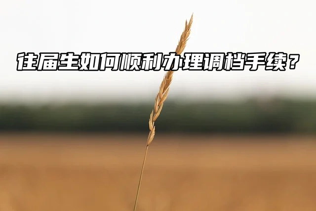 2024年研究生录取在即，往届生如何顺利办理调档手续？