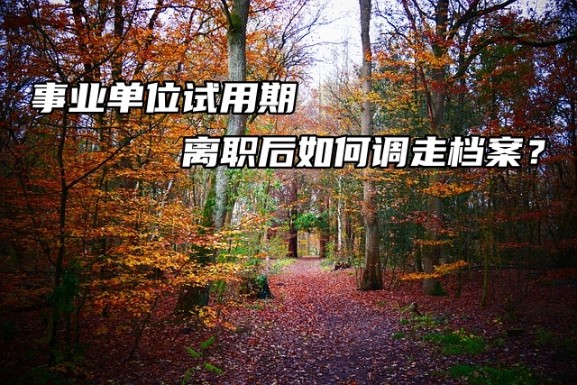 事业单位试用期离职后如何调走档案？