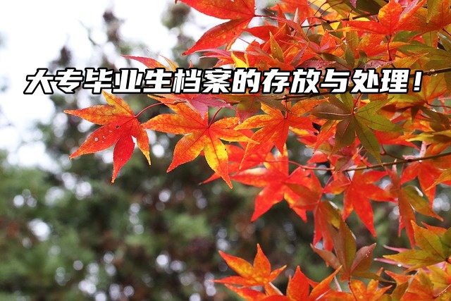 大专毕业生档案的存放与处理！