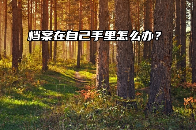 考公务员要调档案，但是档案在自己手里怎么办？