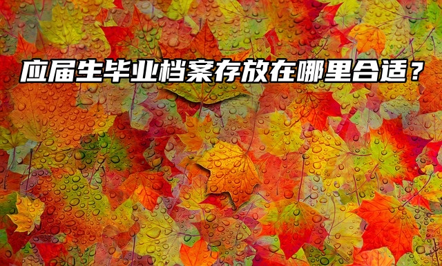 应届生毕业档案存放在哪里合适？