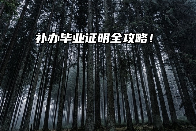 毕业证丢失不用慌！补办毕业证明全攻略！