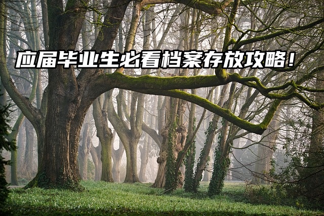 应届毕业生必看，档案存放攻略来了！