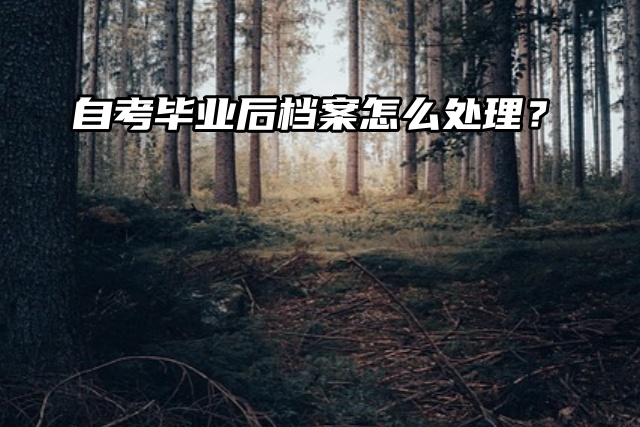 要政审了，自考毕业后档案怎么处理？
