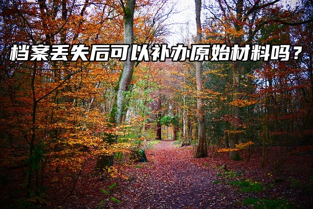 档案丢失后可以补办原始材料吗？