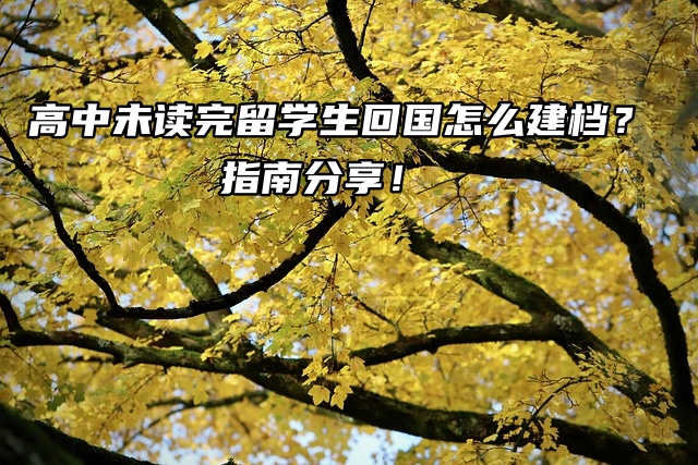 高中未读完留学生回国怎么建档？指南分享！