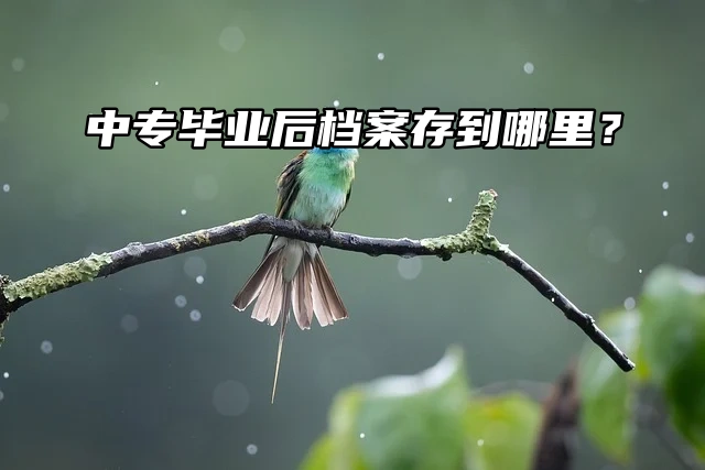 中专毕业后档案存到哪里？