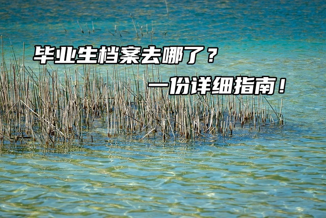 毕业生档案去哪了？一份详细指南！