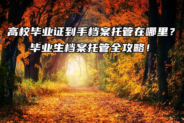 毕业生档案托管全攻略速看！