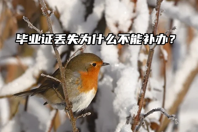 毕业证丢失为什么不能补办，只能补毕业证明？