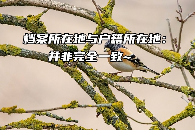 档案所在地与户籍所在地：并非完全一致~