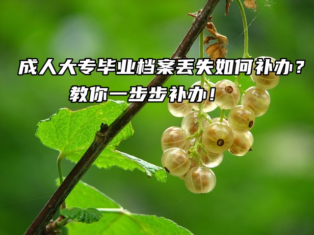 成人大专毕业档案丢失如何补办？教你一步步补办！