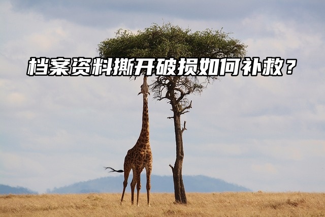 档案资料撕开破损如何补救？麻了！