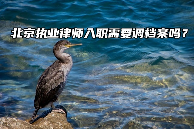 北京执业律师入职需要调档案吗？