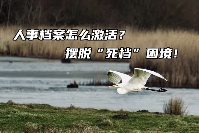 人事档案怎么激活？摆脱“死档”困境！