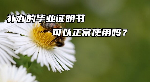 补办的毕业证明书可以正常使用吗？