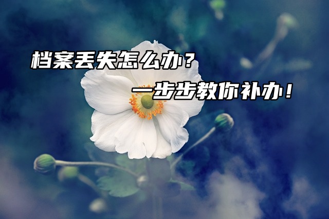 档案丢失怎么办？一步步教你补办！