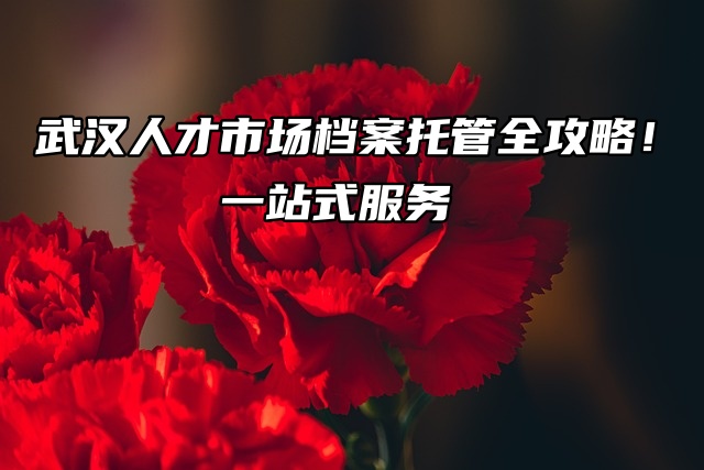 武汉人才市场档案托管全攻略！一站式服务