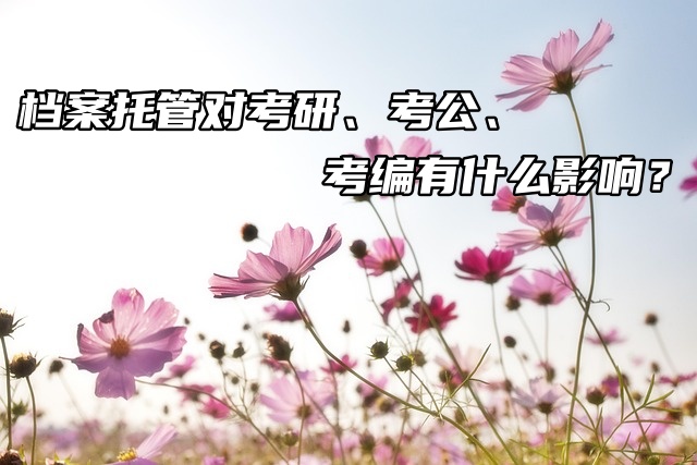 档案托管对考研、考公、考编有什么影响？