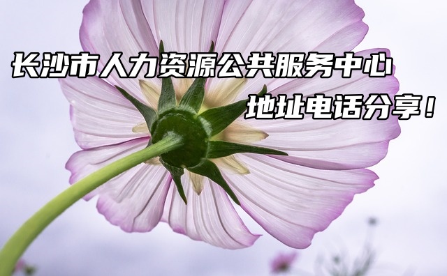 长沙市档案人力资源公共服务中心地址电话分享！