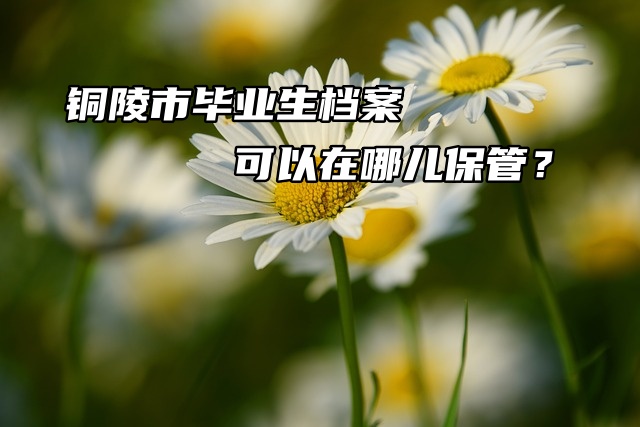 铜陵市毕业生档案可以在哪儿保管？