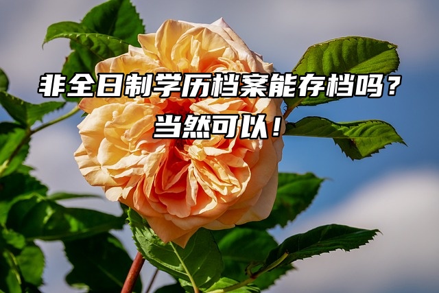 非全日制学历档案能存档吗？当然可以！