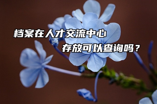 档案在人才交流中心存放可以查询吗？