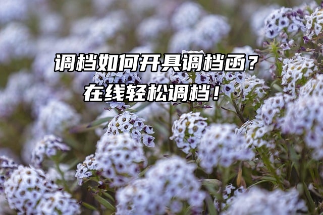 调档如何开具调档函？在线轻松调档！