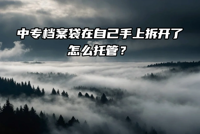 中专档案袋在自己手上，还拆开了怎么托管？