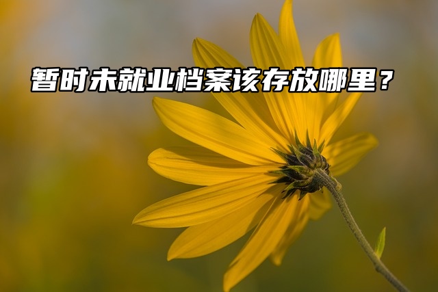 暂时未就业档案该存放哪里？