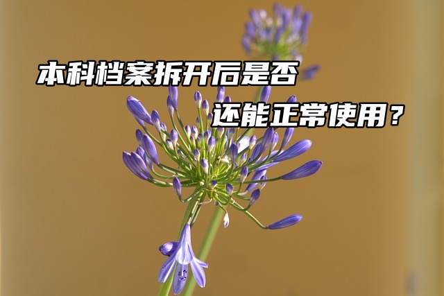 本科档案拆开后是否还能正常使用？