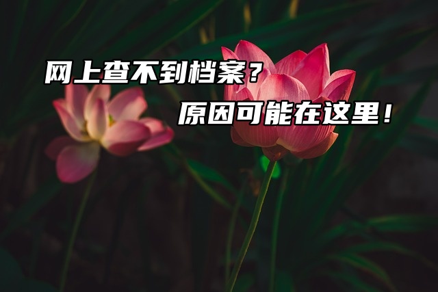 网上查不到档案？原因可能在这里！