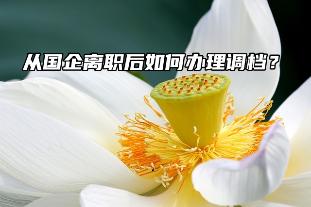 从国企离职后如何办理调档？