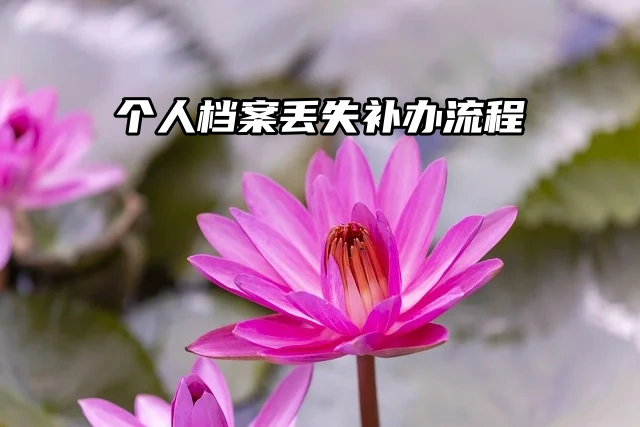 你想要的个人档案丢失补办流程在这里！