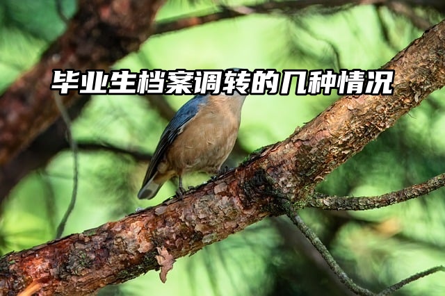 毕业党必看内容：毕业生档案调转的几种情况！