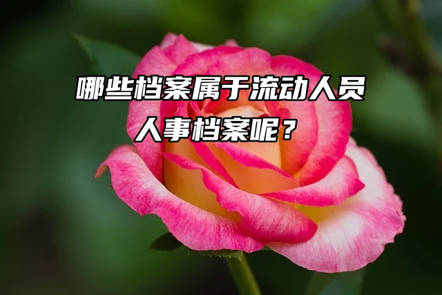 哪些档案属于流动人员人事档案呢？