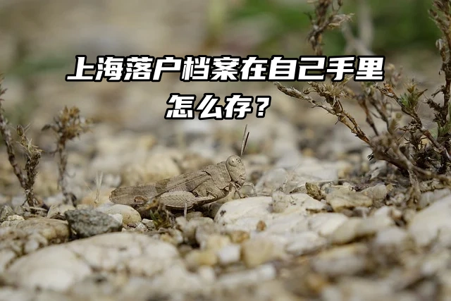 上海落户档案在自己手里怎么存？