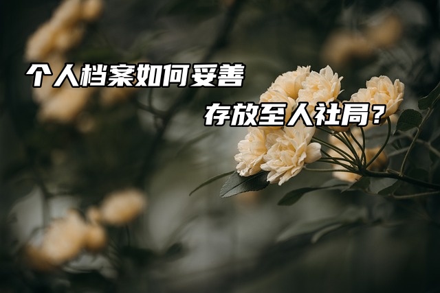 个人档案如何妥善存放至杭州人社局？