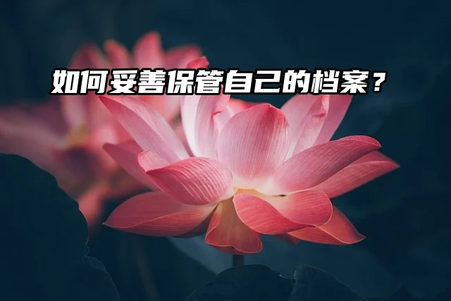 毕业生必看：如何妥善保管自己的档案？