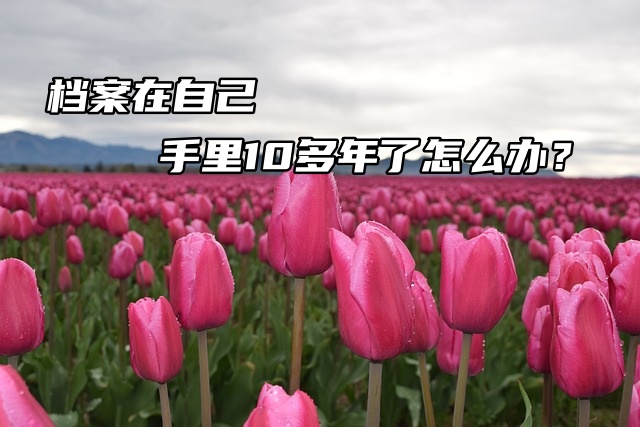 档案在自己手里10多年了怎么办？