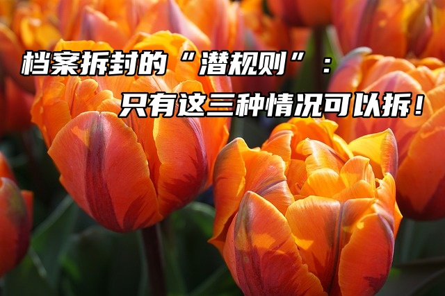 档案拆封的“潜规则”：只有这三种情况可以拆！