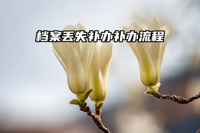 档案丢失不要慌，小编教你补办档案！