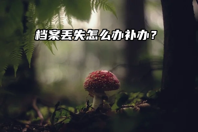 档案丢失怎么办？档案补办！