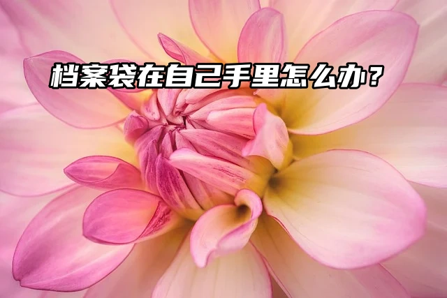 档案托管：档案袋在自己手里怎么办？