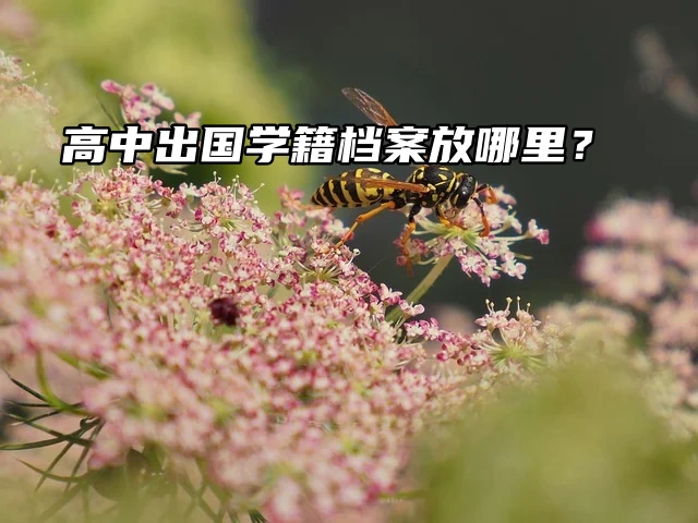 高中出国学籍档案放哪里？