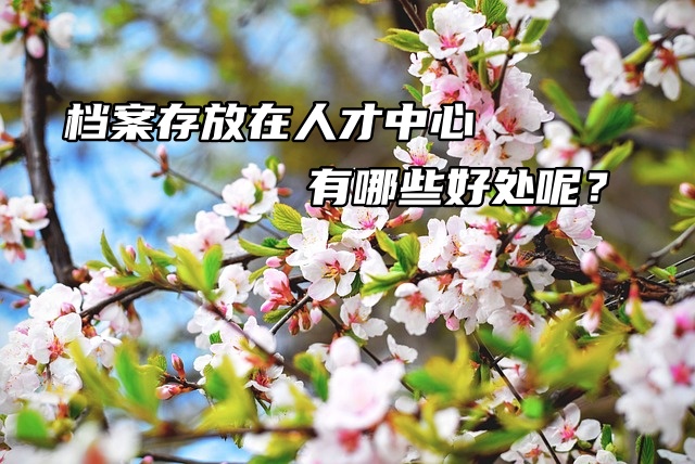 档案存放在人才中心有哪些好处呢？