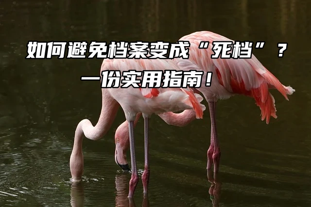 如何避免档案变成“死档”？一份实用指南！